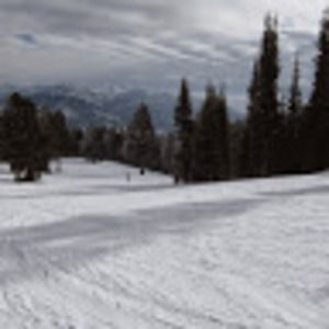 Meet your Posher, Joann